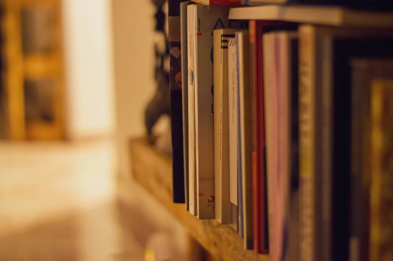 Journals and magazines lined up on a narrow wooden shelf in warm light.
